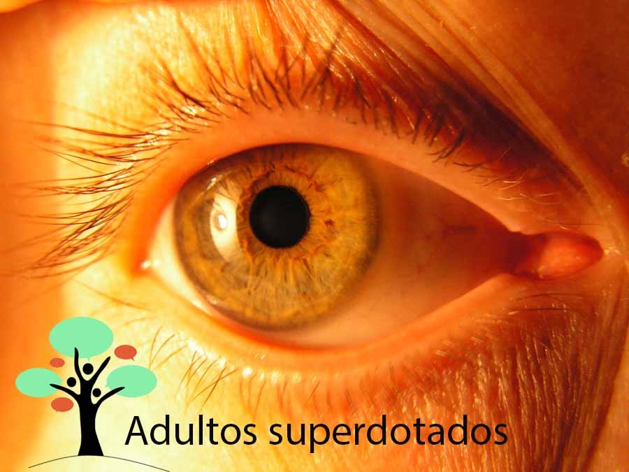 adultos superdotados entender sus características