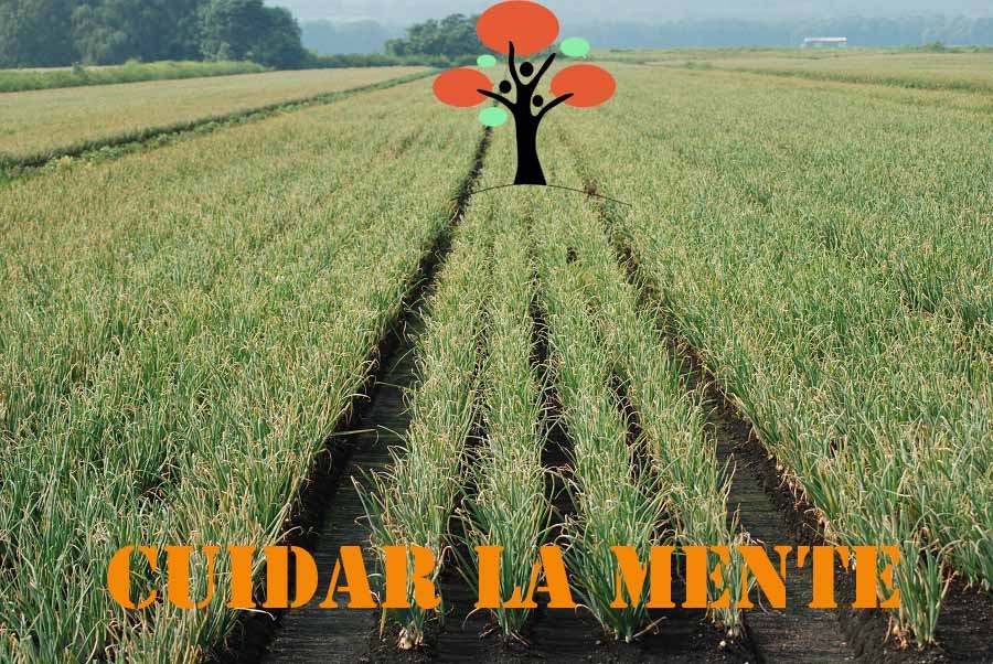 cuidar la mente